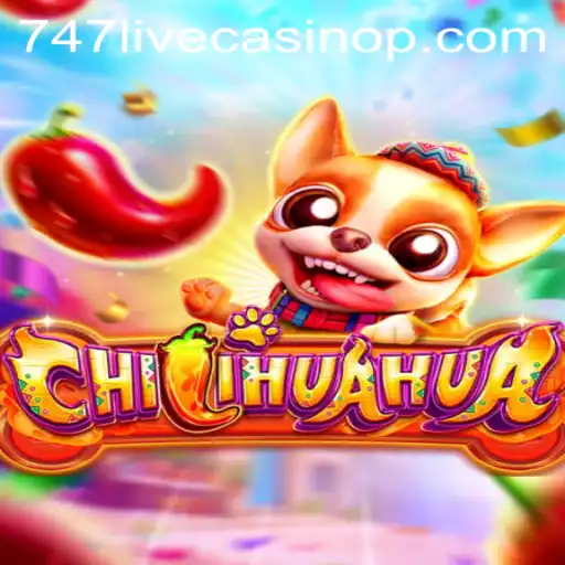 Discovering CHILIHUAHUA: A Fusion of Fun and Excitement at 747 Live Casino