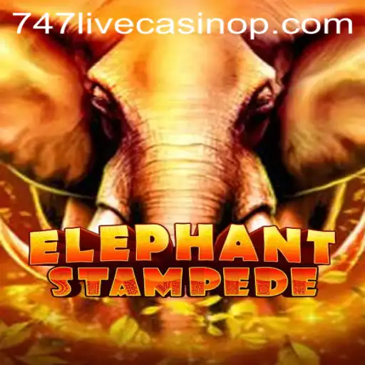 Exploring the Thrills of ElephantStampede in 747 Live Casino